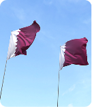 Qatari Participation